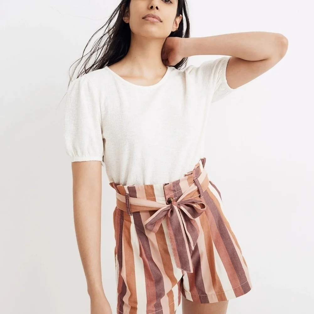 MADEWELL PAPER BAG High Rise RAINBOW STRIPE Brown Tan CREME 6 - Picture 2 of 9